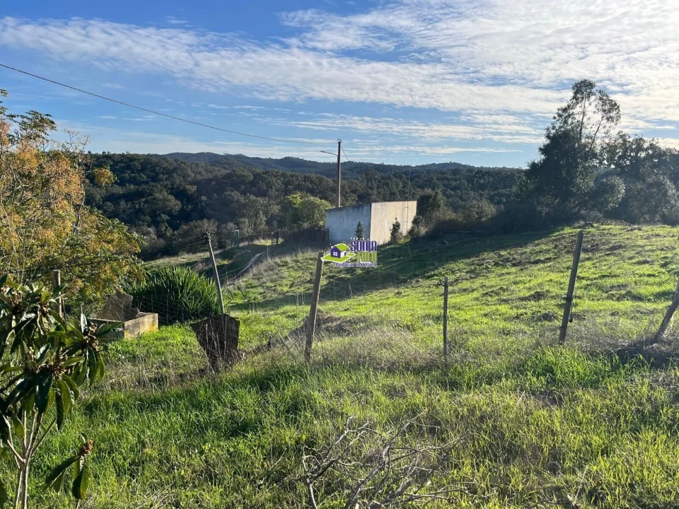 Moradia para Venda em São Martinho das Amoreiras Foto 23
