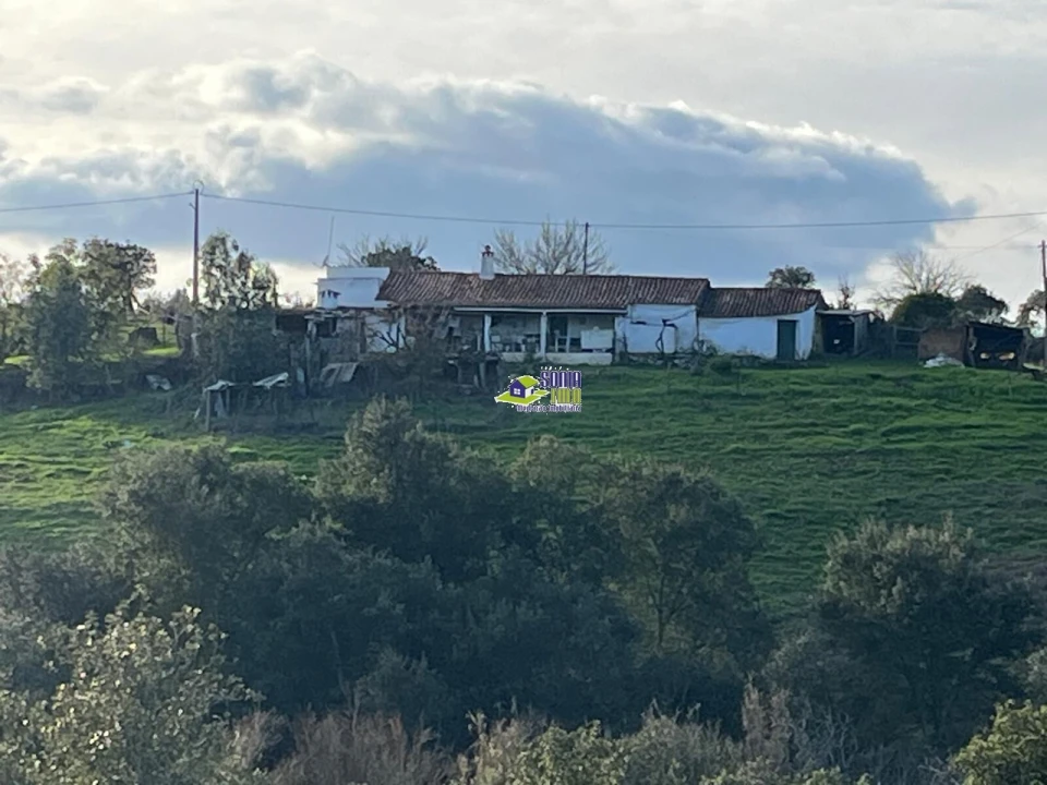 Moradia para Venda em São Martinho das Amoreiras Foto 7