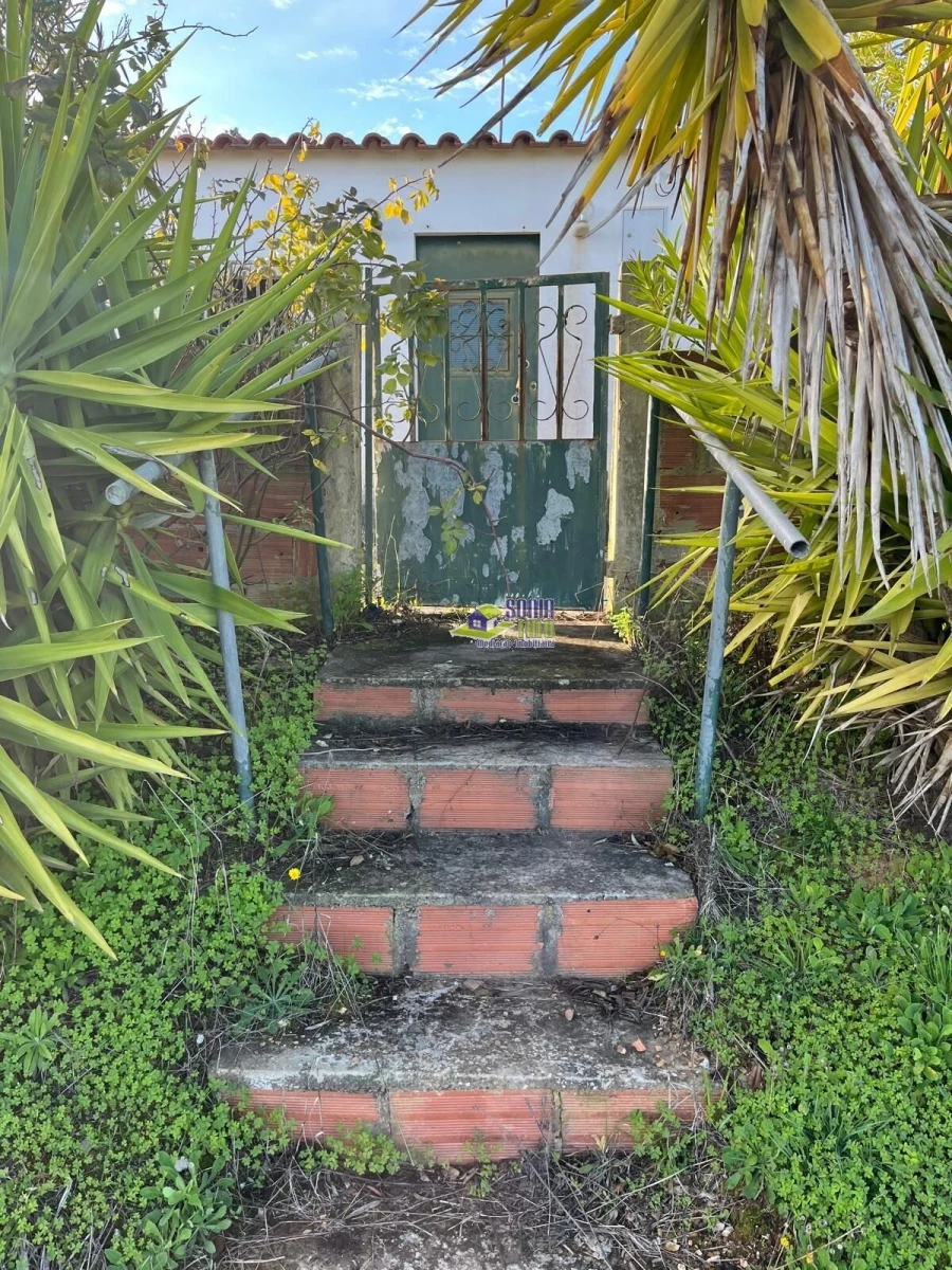 Moradia para Venda em São Martinho das Amoreiras Foto 37