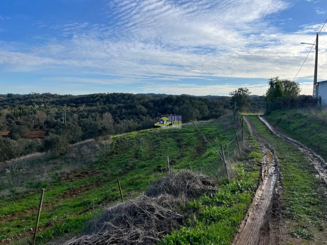 Moradia para Venda em São Martinho das Amoreiras Foto 38
