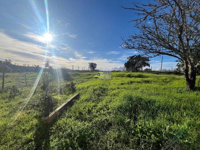 Moradia para Venda em São Martinho das Amoreiras Foto 14