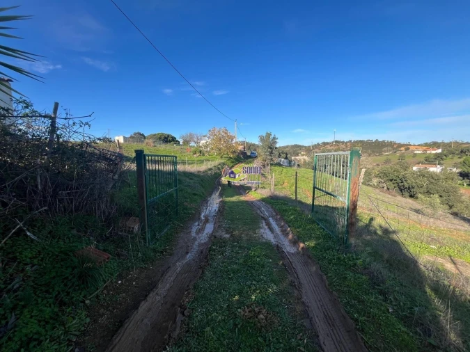 Moradia para Venda em São Martinho das Amoreiras Foto 16