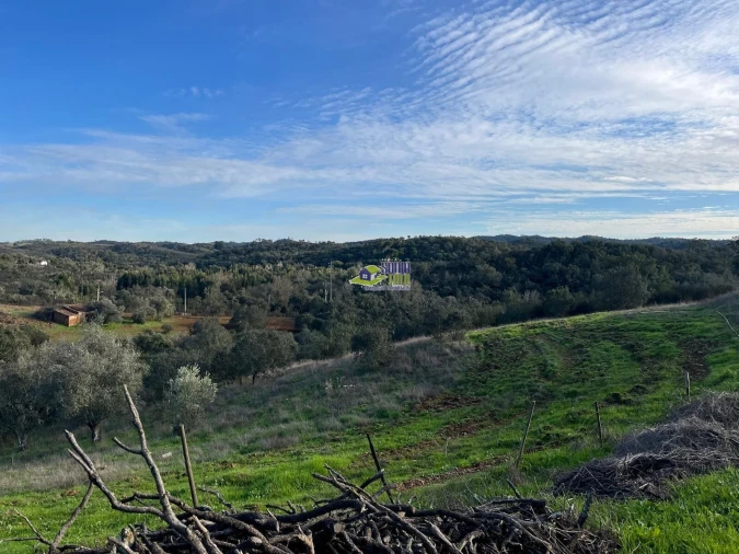 Moradia para Venda em São Martinho das Amoreiras Foto 33