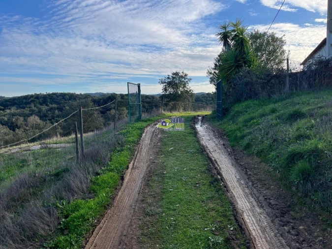 Moradia para Venda em São Martinho das Amoreiras Foto 34