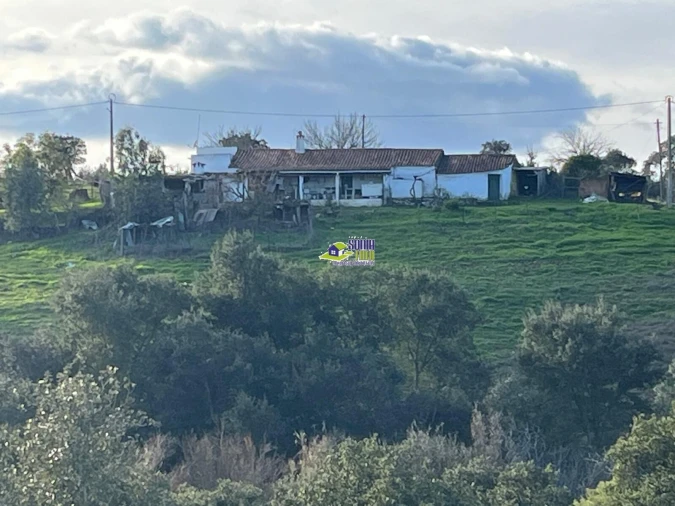 Moradia para Venda em São Martinho das Amoreiras Foto 2