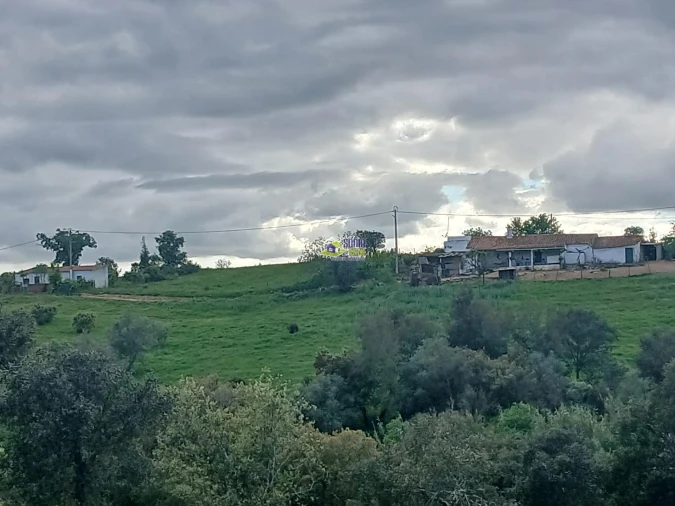 Moradia para Venda em São Martinho das Amoreiras Foto 3