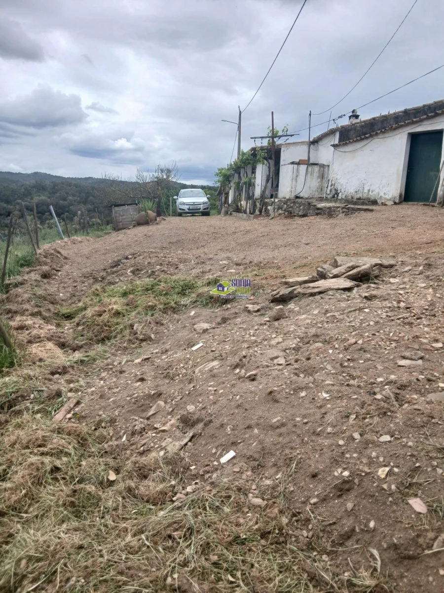Moradia para Venda em São Martinho das Amoreiras Foto 33