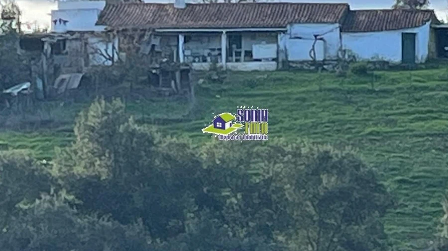 Moradia para Venda em São Martinho das Amoreiras