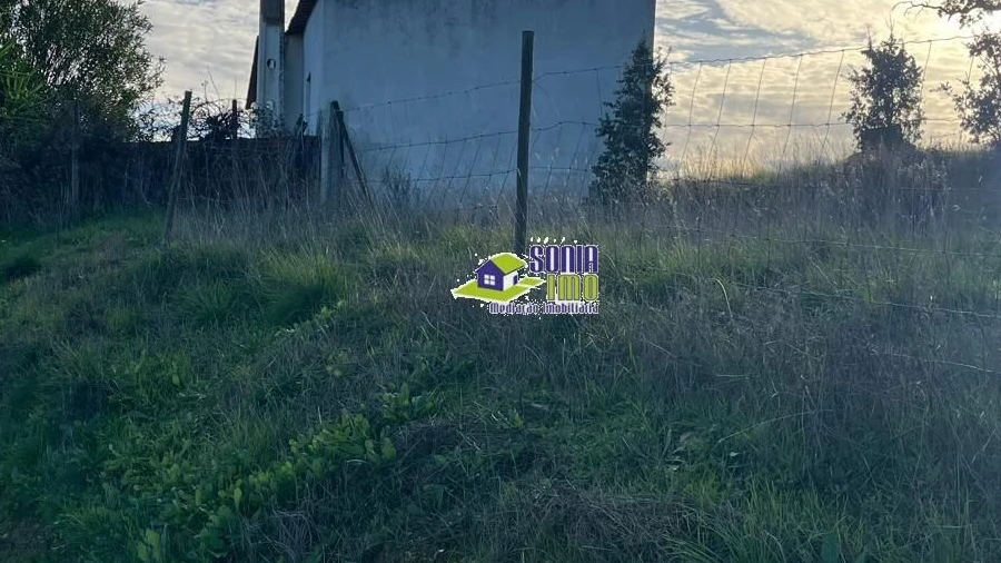 Moradia para Venda em São Martinho das Amoreiras