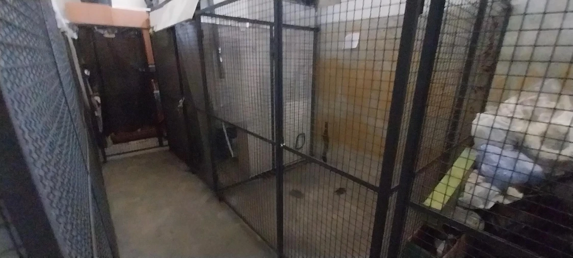 Apartamento T2 para Venda em Matosinhos e Leça da Palmeira Foto 17