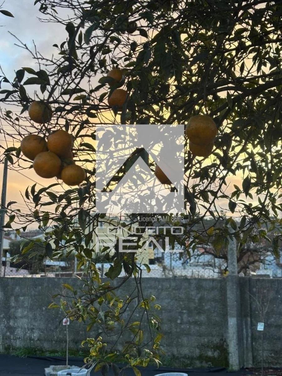 Moradia T3 para Venda em Alfena Foto 3