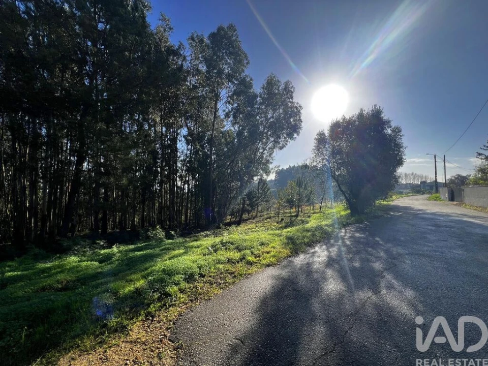 Terreno para Venda em Sangalhos Foto 4