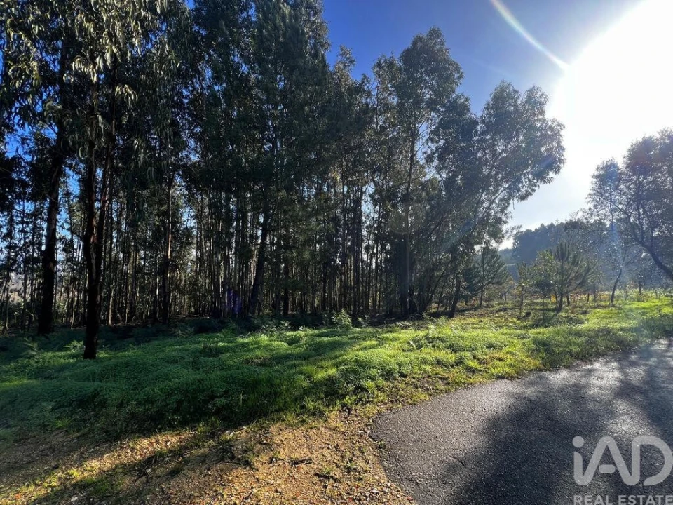 Terreno para Venda em Sangalhos Foto 8