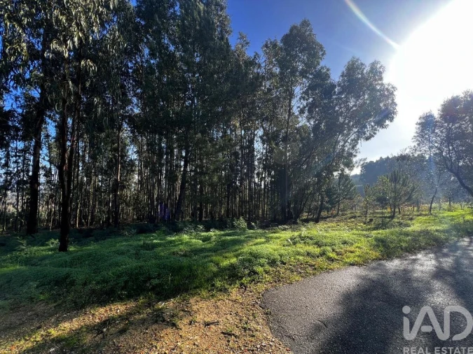 Terreno para Venda em Sangalhos Foto 8