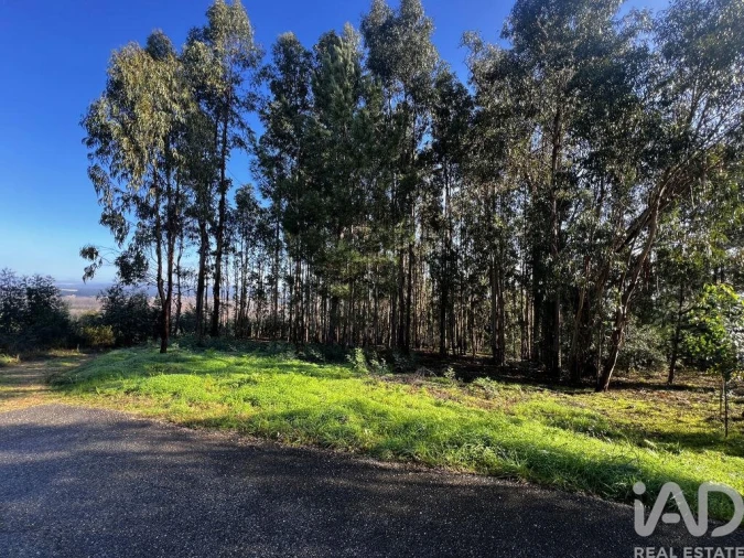 Terreno para Venda em Sangalhos Foto 5