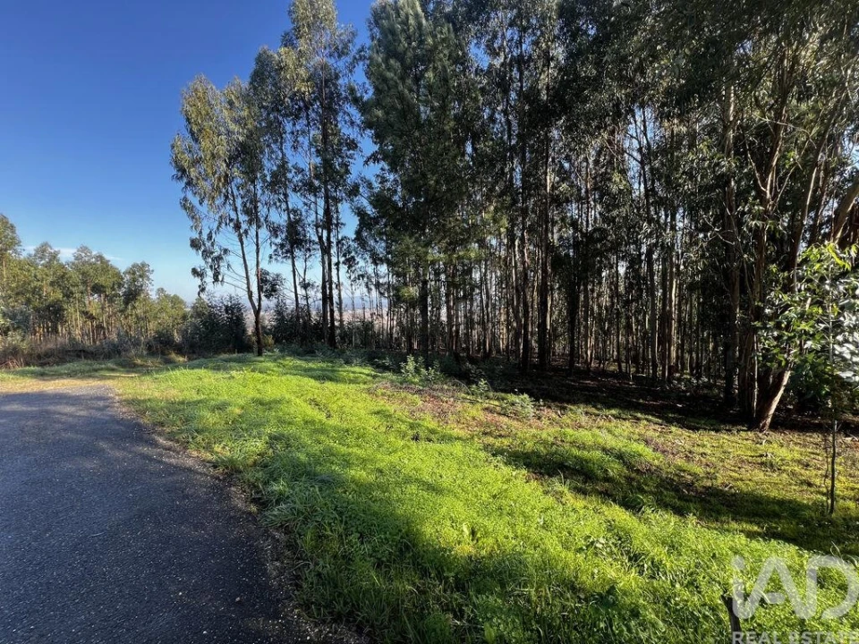 Terreno para Venda em Sangalhos Foto 6