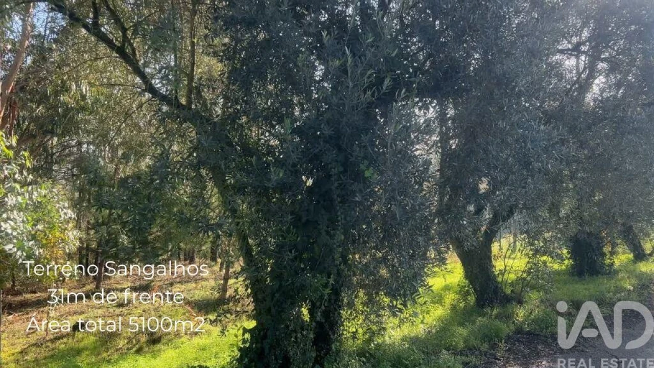 Terreno para Venda em Sangalhos Foto 1