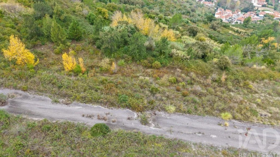 Terreno para Venda em Alenquer (Santo Estêvão e Triana)