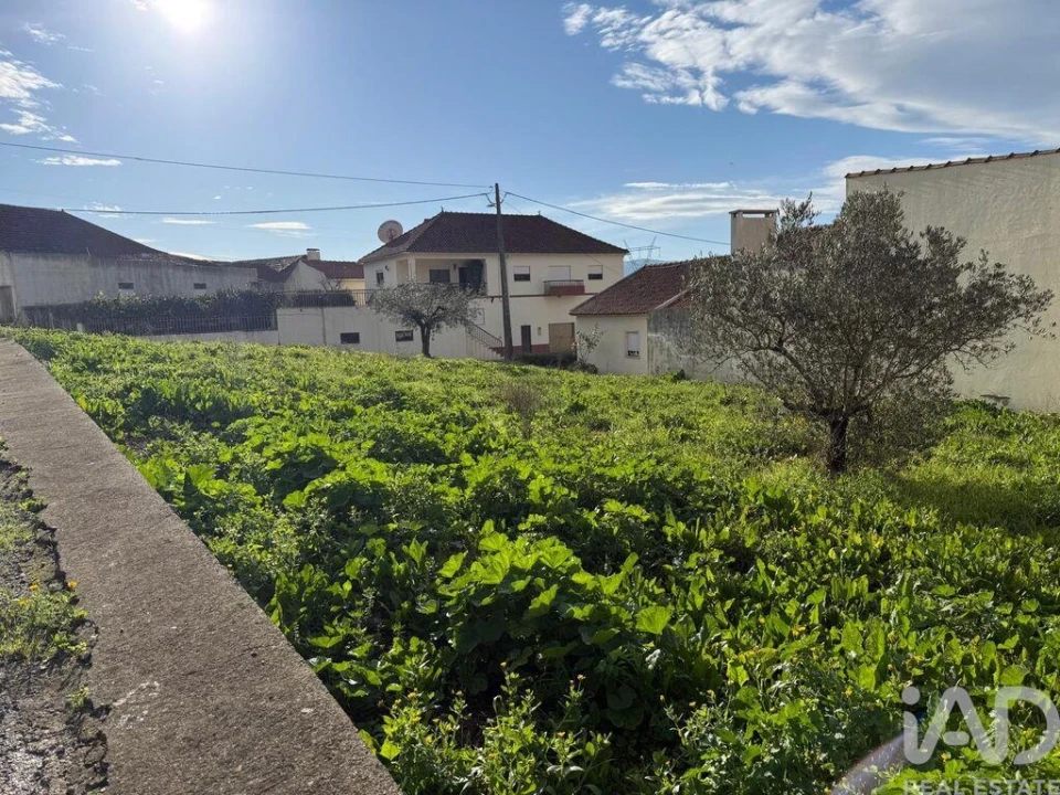 Moradia T2 para Venda em Arrimal e Mendiga Foto 21