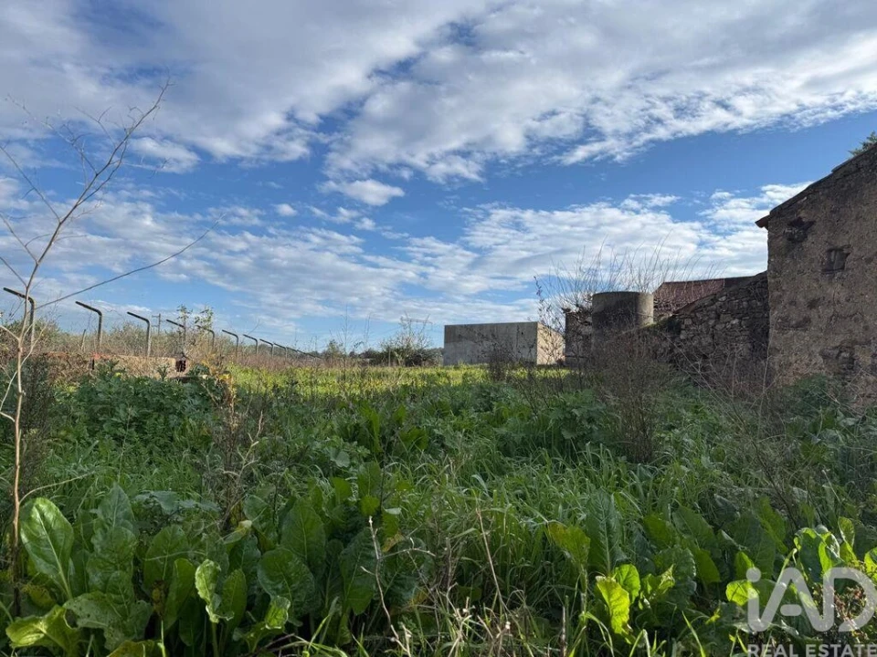 Moradia T2 para Venda em Arrimal e Mendiga Foto 16