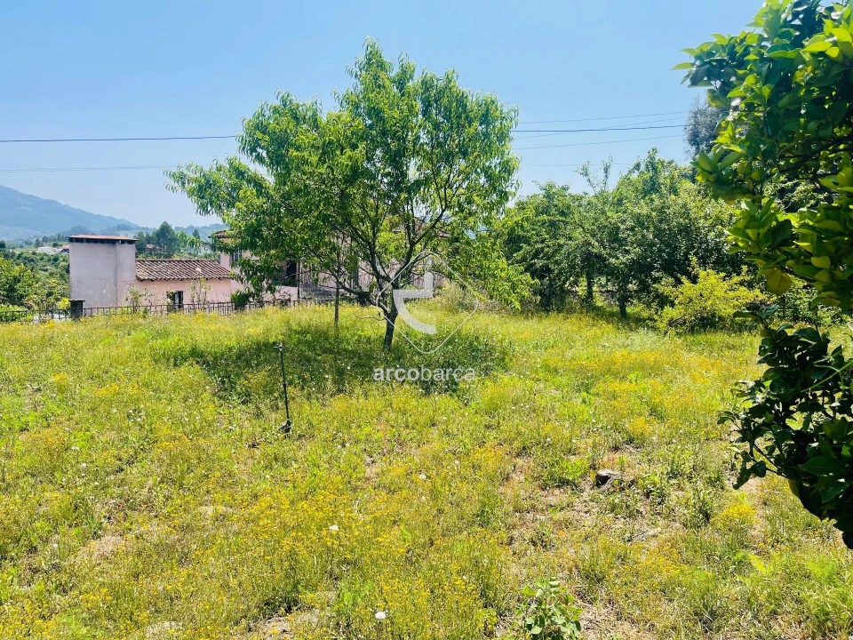 Moradia T5 para Venda em Grade e Carralcova Foto 9