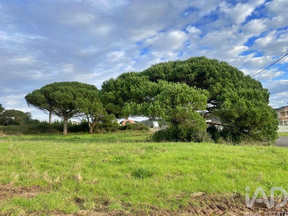 Terreno para Venda em Tornada e Salir do Porto Foto 10