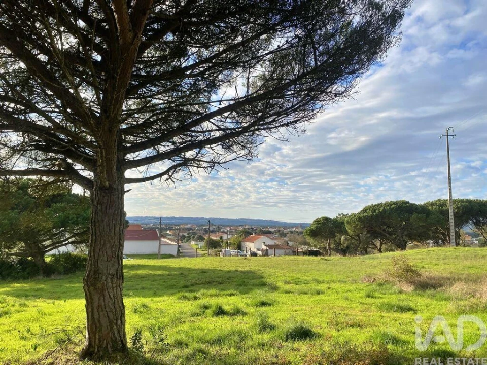 Terreno para Venda em Tornada e Salir do Porto Foto 14