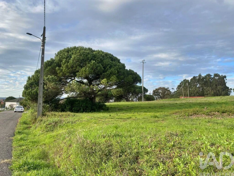 Terreno para Venda em Tornada e Salir do Porto Foto 18