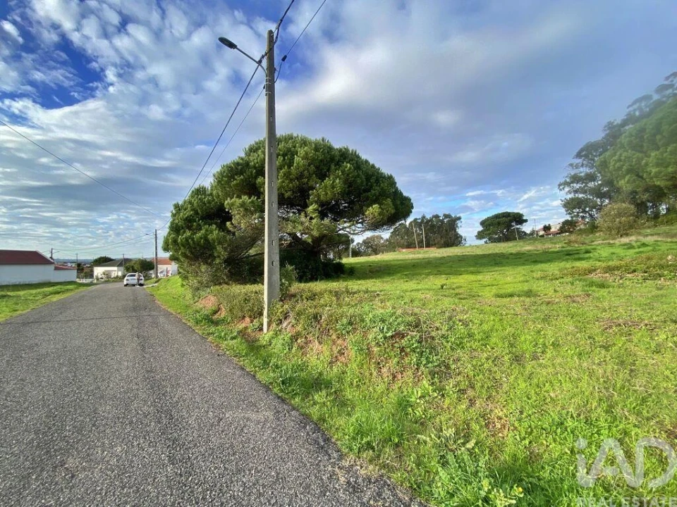 Terreno para Venda em Tornada e Salir do Porto Foto 15