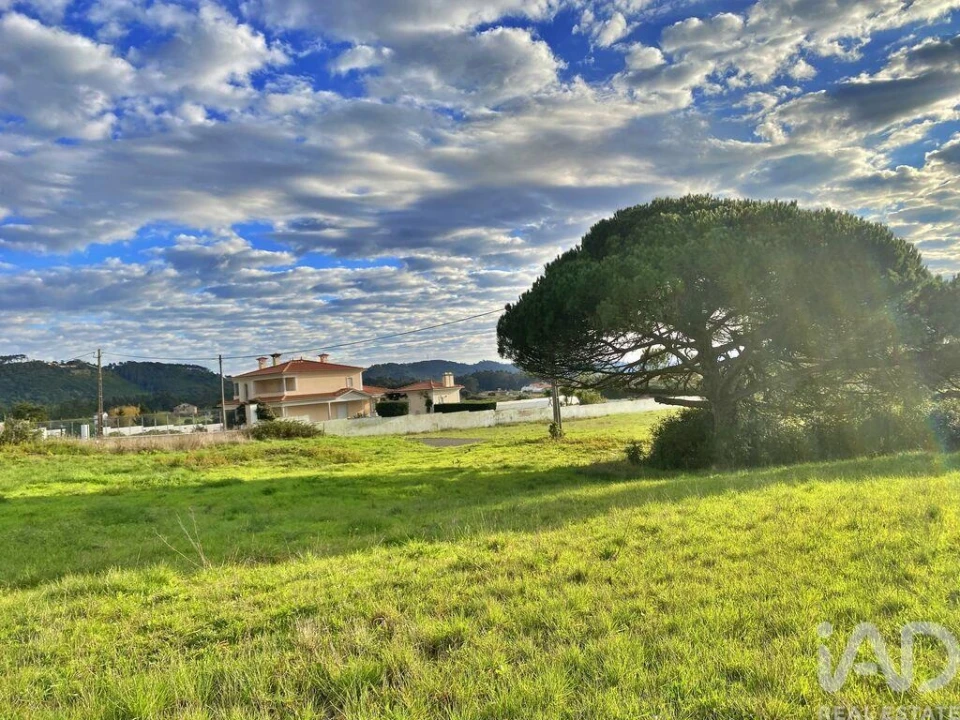 Terreno para Venda em Tornada e Salir do Porto Foto 11