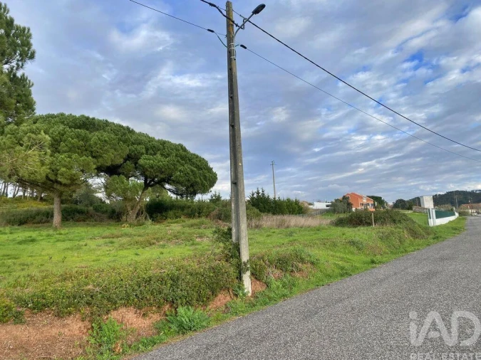 Terreno para Venda em Tornada e Salir do Porto Foto 9