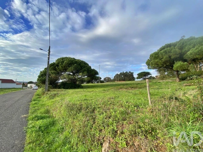 Terreno para Venda em Tornada e Salir do Porto Foto 17