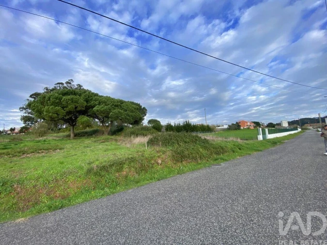 Terreno para Venda em Tornada e Salir do Porto Foto 8