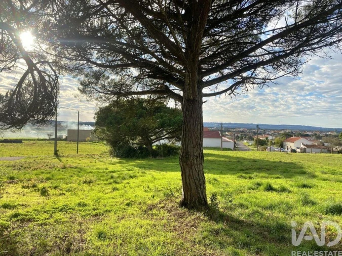 Terreno para Venda em Tornada e Salir do Porto Foto 13