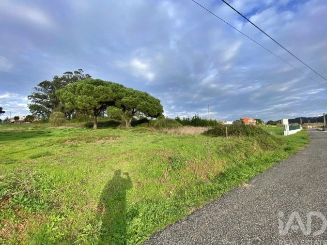Terreno para Venda em Tornada e Salir do Porto Foto 16