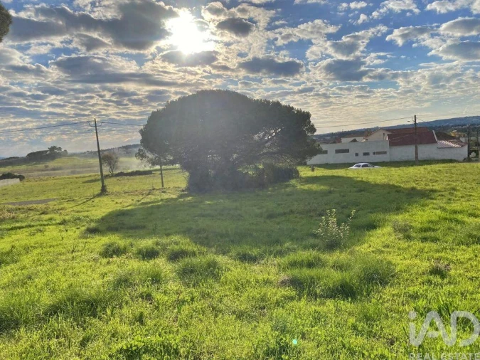 Terreno para Venda em Tornada e Salir do Porto Foto 12