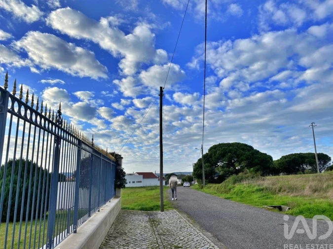 Terreno para Venda em Tornada e Salir do Porto Foto 2