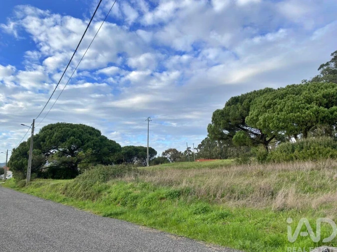 Terreno para Venda em Tornada e Salir do Porto Foto 5