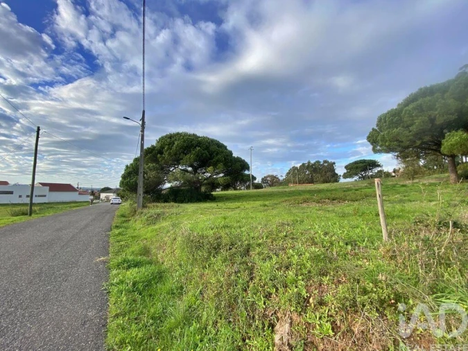 Terreno para Venda em Tornada e Salir do Porto Foto 19