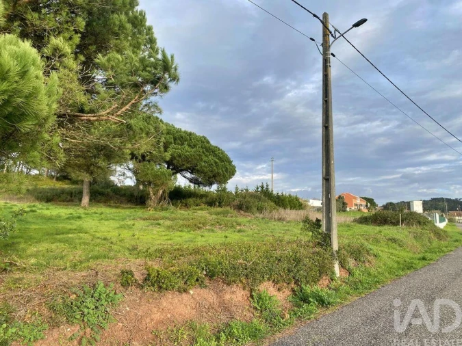 Terreno para Venda em Tornada e Salir do Porto Foto 20