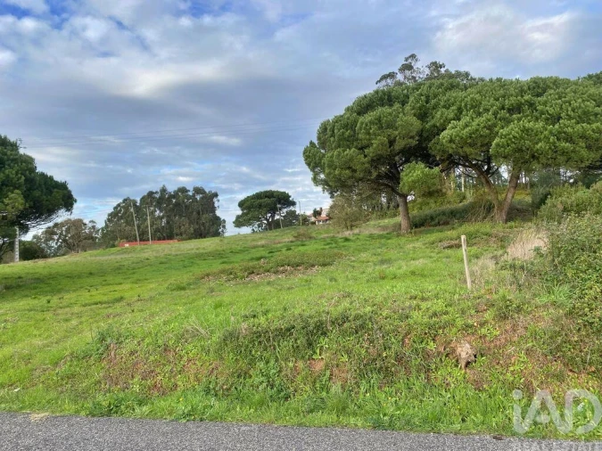 Terreno para Venda em Tornada e Salir do Porto Foto 6