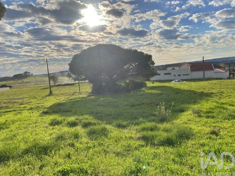 Terreno para Venda em Tornada e Salir do Porto Foto 12