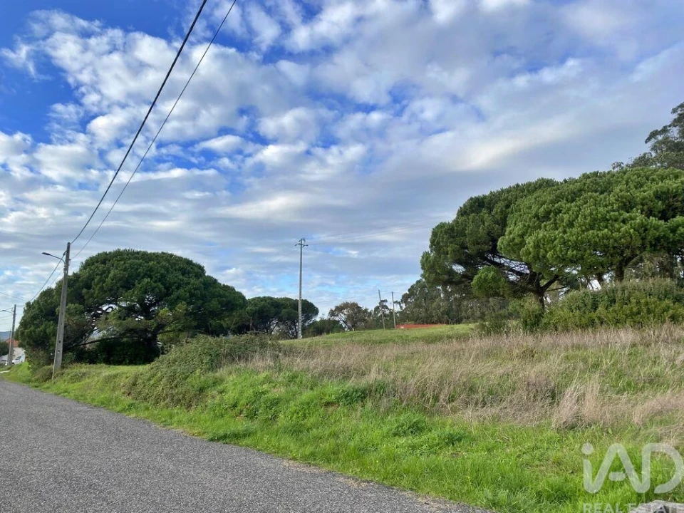Terreno para Venda em Tornada e Salir do Porto Foto 5