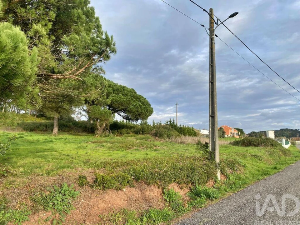 Terreno para Venda em Tornada e Salir do Porto Foto 20