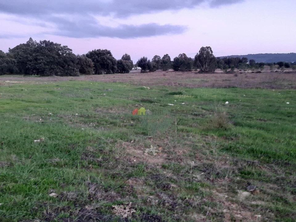 Terreno para Venda em Quinta do Anjo Foto 10