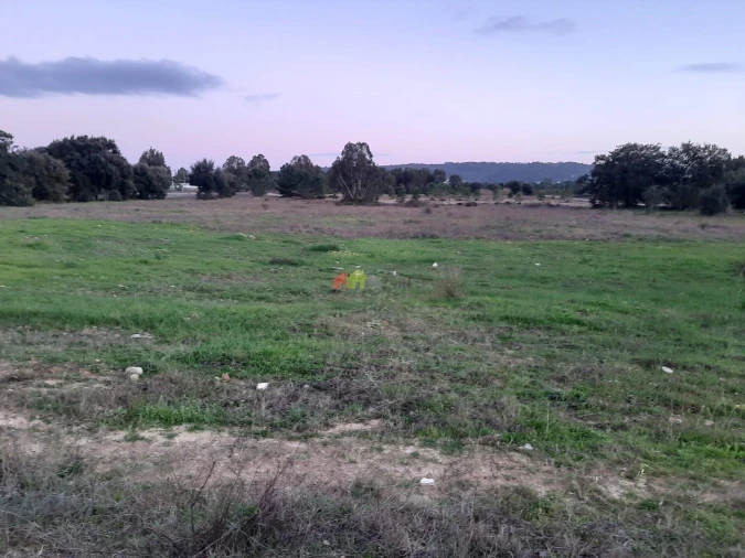 Terreno para Venda em Quinta do Anjo Foto 15
