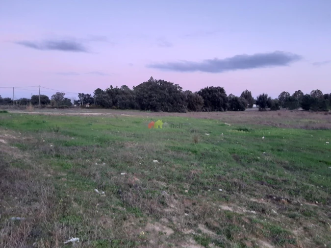Terreno para Venda em Quinta do Anjo Foto 14