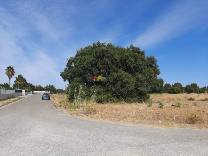 Terreno para Venda em Quinta do Anjo Foto 5