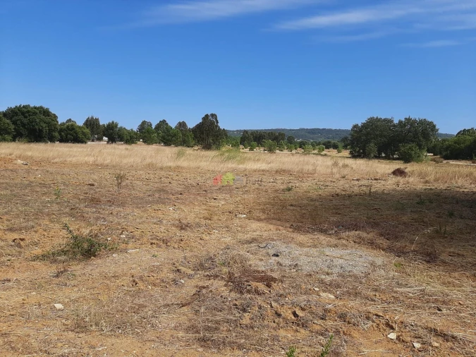 Terreno para Venda em Quinta do Anjo Foto 2