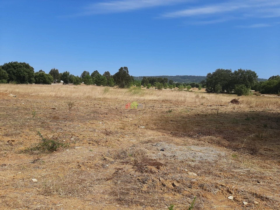Terreno para Venda em Quinta do Anjo Foto 2